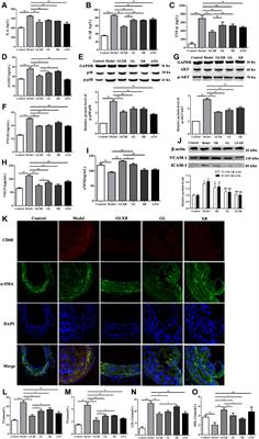 Deciphering the combination mechanisms of Gualou–Xiebai herb pair against atherosclerosis by network pharmacology and HPLC-Q-TOF-MS technology